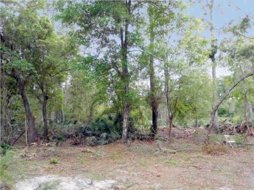 495 Olivia Lane, Osteen, FL 32764