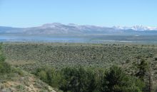 Mono City 7 Lee Vining, CA 93541