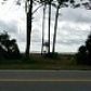 W. Us Hwy 98, Carrabelle, FL 32322 ID:8823619