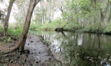 281 Federal Point Rd East Palatka, FL 32131