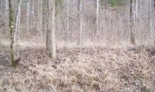 Lot 11 Shiloh Country Phse 1 Crawford, TN 38554