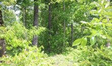 10.34 AC Steel Tram Ridge Road Crawford, TN 38554