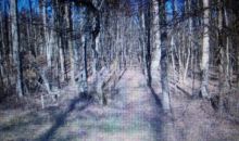 2.28 AC Honey Springs Road Crawford, TN 38554
