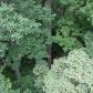 6814 Robinwood Trail, Douglasville, GA 30135 ID:8859044