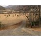 11 Indian Springs, Blue Ridge, GA 30513 ID:8614463