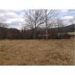 11 Indian Springs, Blue Ridge, GA 30513 ID:8614466