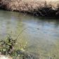 11 Indian Springs, Blue Ridge, GA 30513 ID:8614469