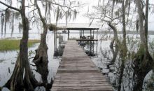 1870 Lake Disston Dr Bunnell, FL 32110