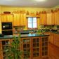 1731 Apple Pie Ridge, Alto, GA 30510 ID:8928102