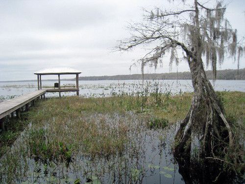 1800 Lake Disston Dr, Bunnell, FL 32110