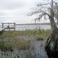 1800 Lake Disston Dr, Bunnell, FL 32110 ID:8836527