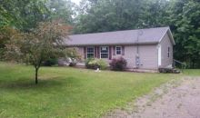 5132 Ivan Rd Saranac, MI 48881