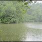 109 Maple, Kingston, TN 37763 ID:8939849