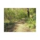 127 Little Victoria Road, Woodstock, GA 30189 ID:8817549