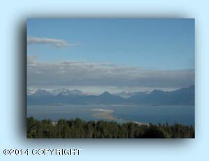 297 Tulin Terrace Boulevard, Homer, AK 99603