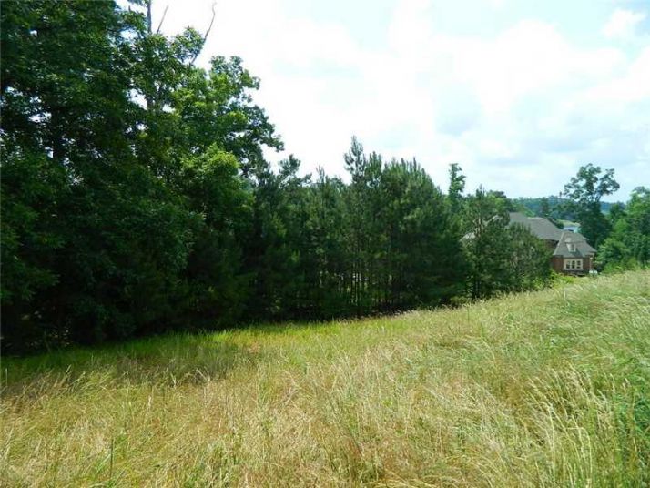 2799 Pebble Hill Pointe, Duluth, GA 30097