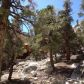 1 Whitney Portal, Lone Pine, CA 93545 ID:1684425