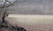 0 Wartrace Rd Lafayette, TN 37083