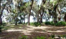 723 Harris Fish Camp RD Georgetown, FL 32139