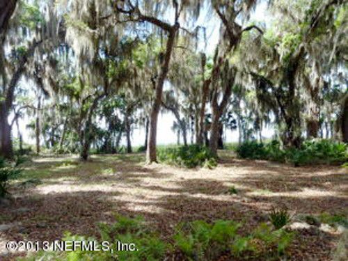 723 Harris Fish Camp RD, Georgetown, FL 32139