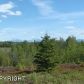 13345 W Upper Birch Drive, Big Lake, AK 99652 ID:8934584