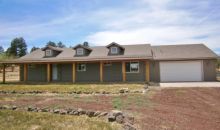 916 Timber Hollow Road Show Low, AZ 85901