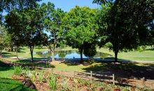 120 W Magnolia Ave Howey In The Hills, FL 34737