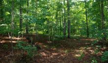 0 Woodhaven Drive Cumming, GA 30041