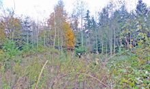 2-XX W Camano Dr Camano Island, WA 98282