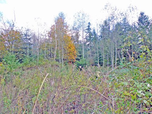 2-XX W Camano Dr, Camano Island, WA 98282