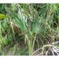 24550 SW 123 AVE, Homestead, FL 33032 ID:8689780