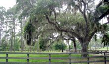 504 Raulerson Rd. Pierson, FL 32180