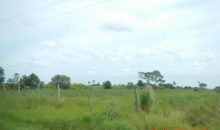 3020 Munchkin St Venus, FL 33960