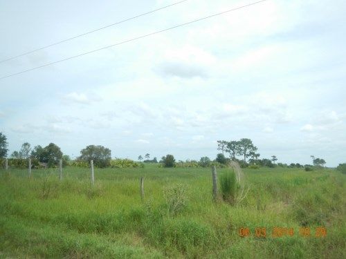 3020 Munchkin St, Venus, FL 33960