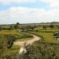 322 Lott Grade, Venus, FL 33960 ID:2991628