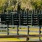 322 Lott Grade, Venus, FL 33960 ID:2991631
