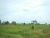 3020 Munchkin St Venus, FL 33960