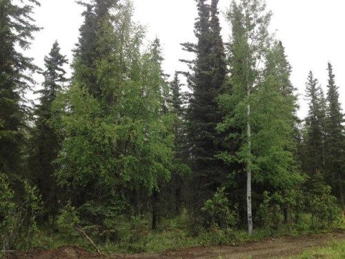 L3 B2 Ciechanski Road, Kenai, AK 99611