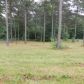 810 S Hillcrest Rd, Odenville, AL 35120 ID:9225451