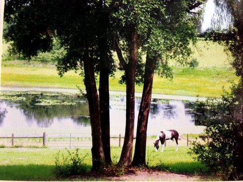 40915 LOUISE RD, Bimble, KY 40915
