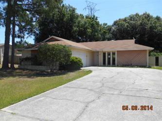 16207 Pebblebrook Dr, Tampa, FL 33624