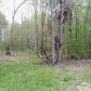 LOT 46 HONEY SPRINGS ROAD, Crawford, TN 38554 ID:4057044