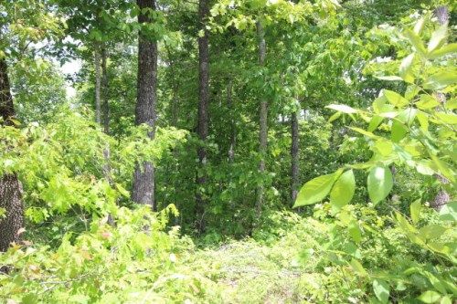10.34 AC Steel Tram Ridge Road, Crawford, TN 38554