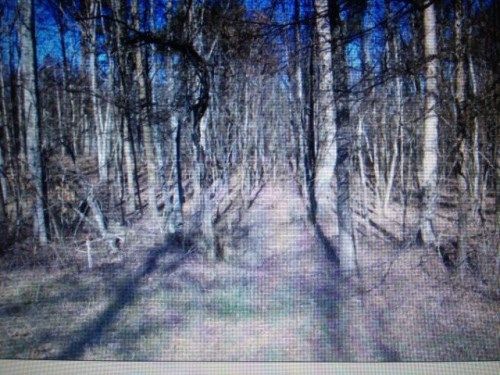 2.28 AC Honey Springs Road, Crawford, TN 38554