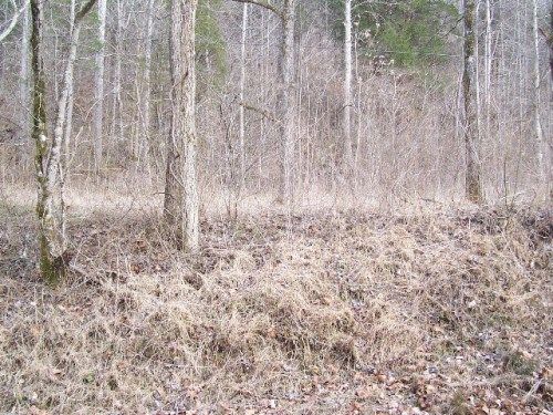 Lot 11 Shiloh Country Phse 1, Crawford, TN 38554