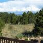 71 Sumac Ln, Montrose, CO 81401 ID:9194778