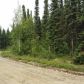 13293 N Canoe Way, Willow, AK 99688 ID:9218167