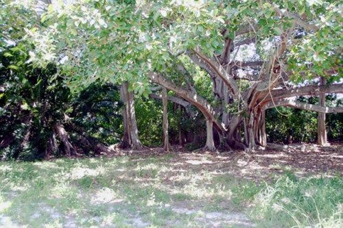 106 BEACH AVE, Anna Maria, FL 34216
