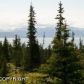 54655 Trappers Lane, Homer, AK 99603 ID:8869081