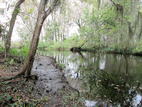 281 Federal Point Rd, East Palatka, FL 32131